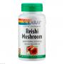 REISHI MUSHROOM Solaray Kapseln