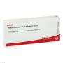RETICULOENDOTHELIALES System GL D 5 Ampullen