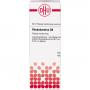 RHODODENDRON D 8 Dilution