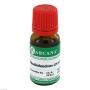 RHODODENDRON LM 6 Dilution