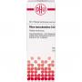 RHUS TOXICODENDRON C 12 Dilution