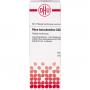 RHUS TOXICODENDRON C 200 Dilution