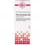 RHUS TOXICODENDRON D 200 Dilution