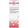 RHUS TOXICODENDRON D 5 Dilution