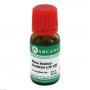 RHUS TOXICODENDRON LM 12 Dilution