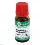 RHUS TOXICODENDRON LM 6 Dilution