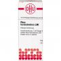 RHUS TOXICODENDRON LM I Dilution Ind.Fert.