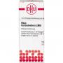 RHUS TOXICODENDRON LM III Dilution Ind.Fert.
