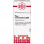 RHUS TOXICODENDRON LM VI Dilution