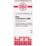 RHUS TOXICODENDRON LM XII Dilution