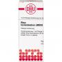 RHUS TOXICODENDRON LM XXX Dilution
