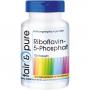 RIBOFLAVIN-5-Phosphat Kapseln