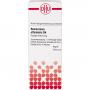 ROSMARINUS OFFICINALIS D 4 Dilution