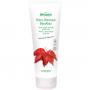 ROTES WEINLAUB BeinAktiv Creme