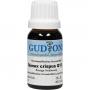 RUMEX CRISPUS Q 13 Lösung