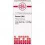 RUMEX LM VI Dilution
