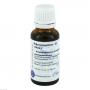 RUTA D 2 Dilution