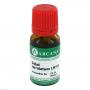 SABAL SERRULATUM LM 6 Dilution