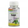 SALBEIBLÄTTER 570 mg Solaray Kapseln