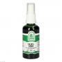 SALBEISPRAY