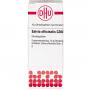SALVIA OFFICINALIS C 200 Globuli Ind.Fert.