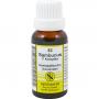 SAMBUCUS F Komplex Nr.82 Dilution