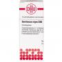 SAMBUCUS NIGRA D 30 Globuli