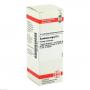 SAMBUCUS NIGRA D 6 Dilution