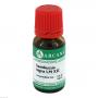 SAMBUCUS NIGRA LM 12 Dilution