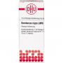 SAMBUCUS NIGRA LM VI Dilution