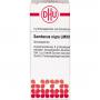 SAMBUCUS NIGRA LM XXX Globuli