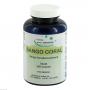 SANGO CORAL pur Pulver