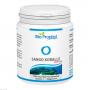 SANGO KORALLE maritim 700 mg Ca und 300 mg Mg Kps.
