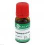SANGUINARIA LM 12 Dilution