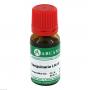 SANGUINARIA LM 6 Dilution