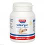 SCHLAF GUT Melatonin+L-Tryptophan Tabletten