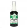 SCHLEHDORNFRÜCHTE Spray