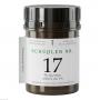 SCHÜSSLER NR.17 Manganum sulfuricum D 6 Tabletten