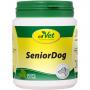 SENIOR Dog
