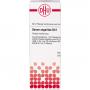 SERUM ANGUILLAE D 12 Dilution