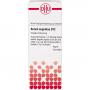 SERUM ANGUILLAE D 12 Dilution