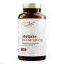 SHIITAKE EXTRAKT 500 mg Kapseln