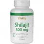 SHILAJIT 500 mg Mumijo Kapseln
