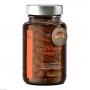 SIBIRISCHER Ginseng Extrakt Kapseln