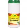 SINGULARES Bio-Moringa Pulver vet.