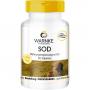 SOD Tabletten