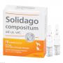 SOLIDAGO COMPOSITUM ad us.vet.Ampullen