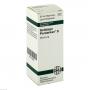 SOLIDAGO PENTARKAN S Mischung