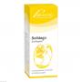 SOLIDAGO SIMILIAPLEX Tropfen