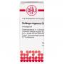 SOLIDAGO VIRGAUREA C 12 Globuli Ind.Fert.
